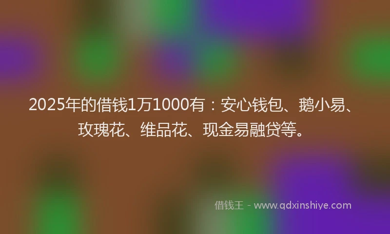 2025年的借钱1万1000有：安心钱包、鹅小易、玫瑰花、维品花、现金易融贷等。
