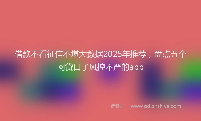 借款不看征信不堪大数据2025年推荐,盘点五个网贷口子风控不严的app