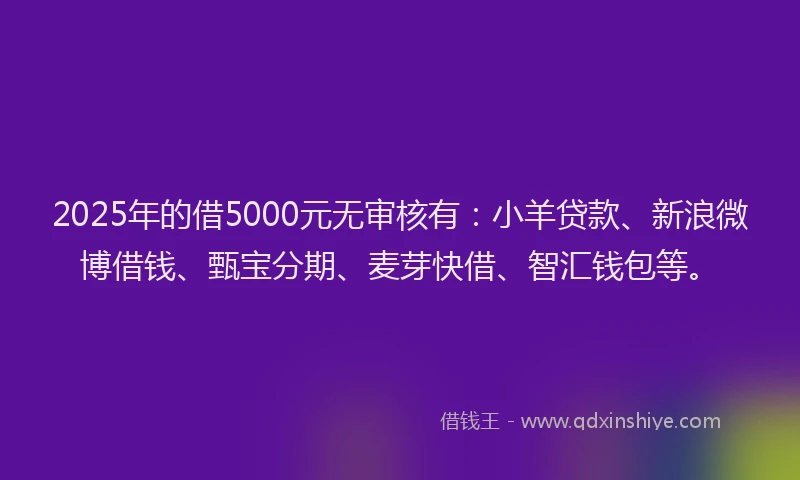 2025年的借5000元无审核有：小羊贷款、新浪微博借钱、甄宝分期、麦芽快借、智汇钱包等。
