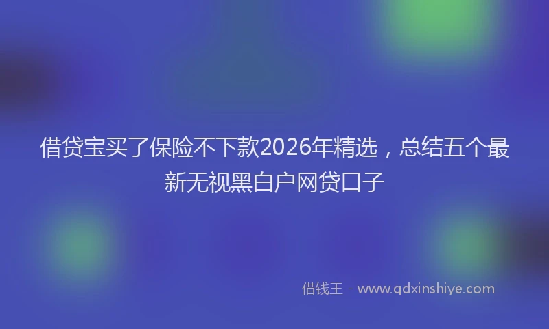 借贷宝买了保险不下款2026年精选,总结五个最新无视黑白户网贷口子