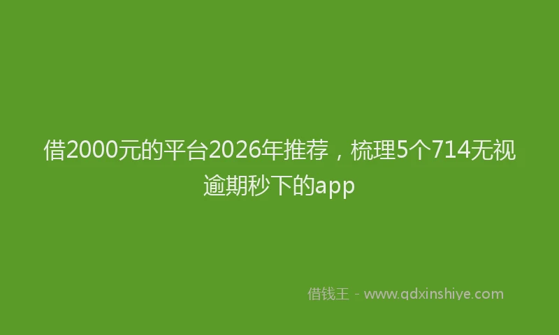 借2000元的平台2026年推荐，梳理5个714无视逾期秒下的app