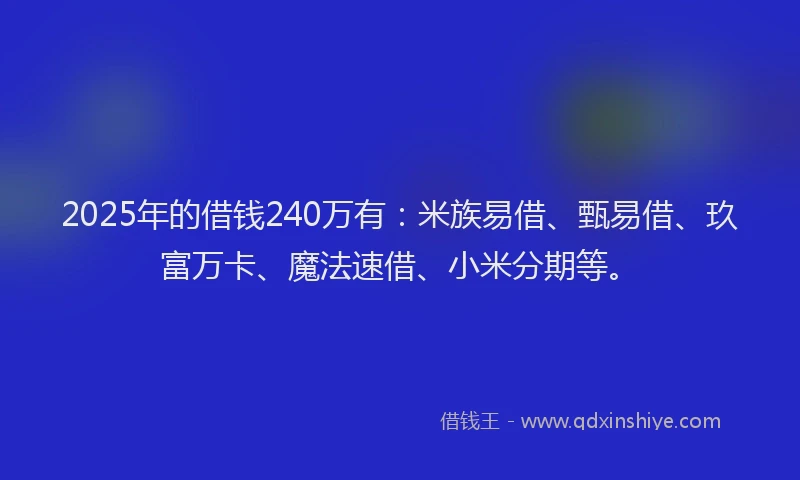 2025年的借钱240万有：米族易借、甄易借、玖富万卡、魔法速借、小米分期等。