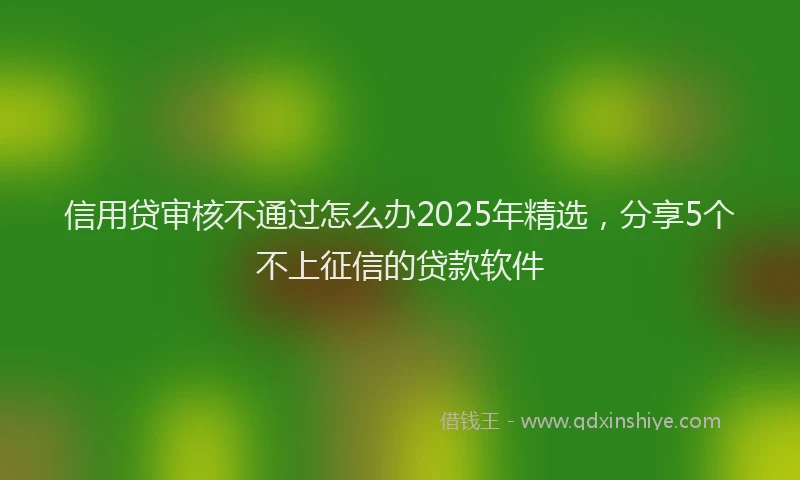 信用贷审核不通过怎么办2025年精选，分享5个不上征信的贷款软件