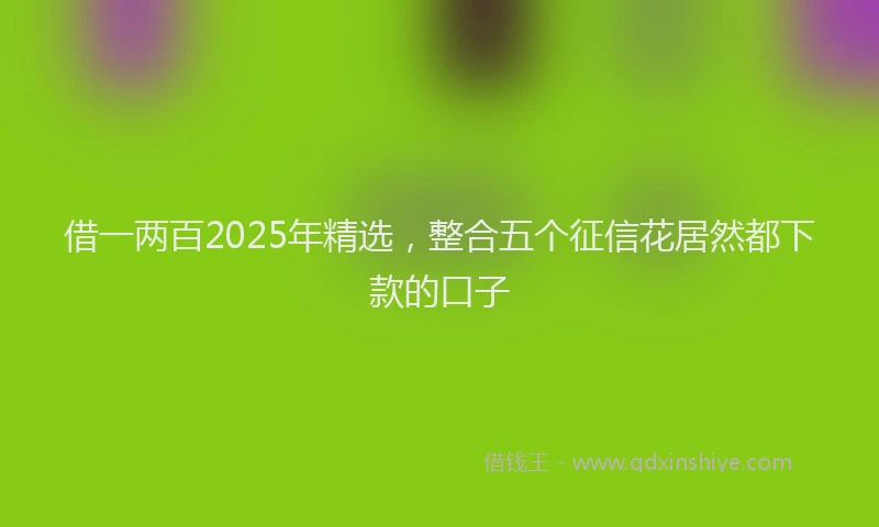 借一两百2025年精选，整合五个征信花居然都下款的口子