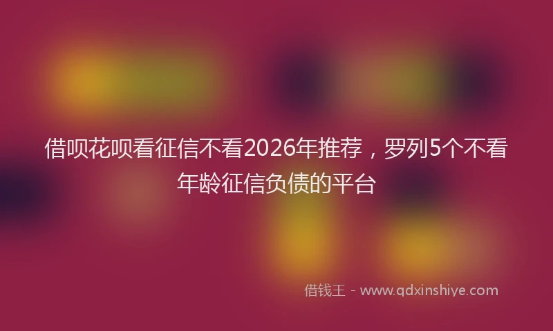 借呗花呗看征信不看2026年推荐，罗列5个不看年龄征信负债的平台