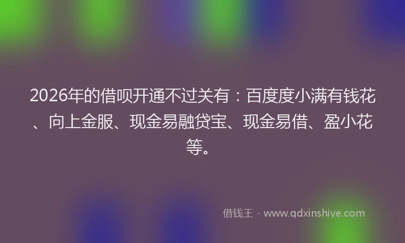 2026年的借呗开通不过关有:百度度小满有钱花、向上金服、现金易融贷宝、现金易借、盈小花等。