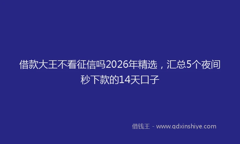 借款大王不看征信吗2026年精选，汇总5个夜间秒下款的14天口子