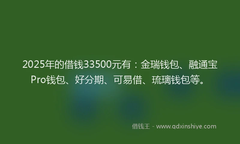 2025年的借钱33500元有：金瑞钱包、融通宝Pro钱包、好分期、可易借、琉璃钱包等。