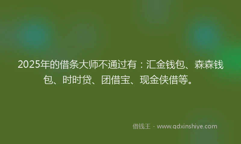 2025年的借条大师不通过有：汇金钱包、森森钱包、时时贷、团借宝、现金侠借等。
