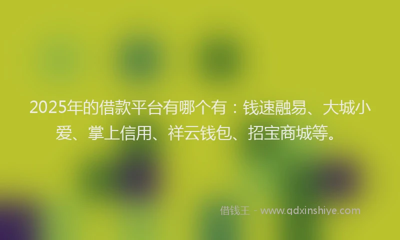 2025年的借款平台有哪个有：钱速融易、大城小爱、掌上信用、祥云钱包、招宝商城等。