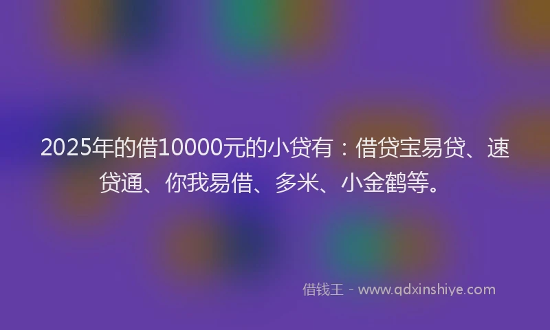 2025年的借10000元的小贷有：借贷宝易贷、速贷通、你我易借、多米、小金鹤等。