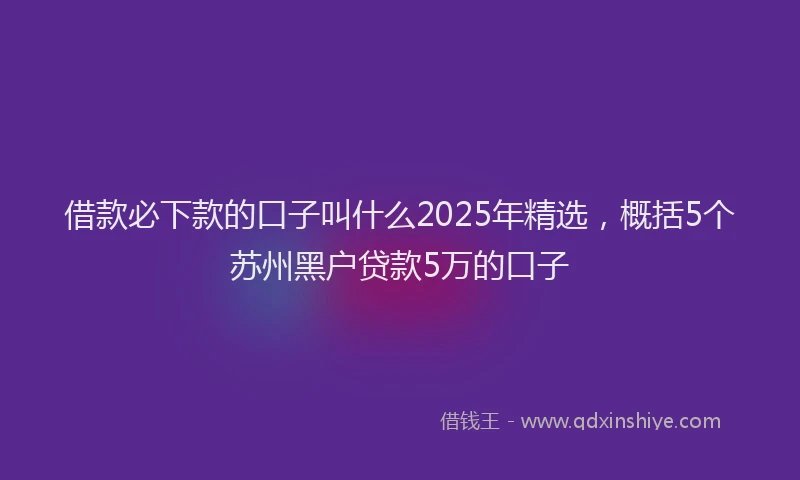 借款必下款的口子叫什么2025年精选，概括5个苏州黑户贷款5万的口子