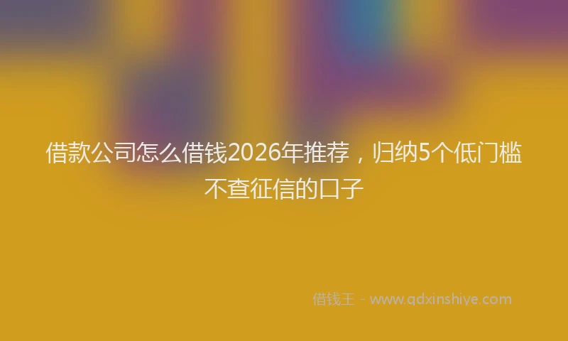 借款公司怎么借钱2026年推荐，归纳5个低门槛不查征信的口子