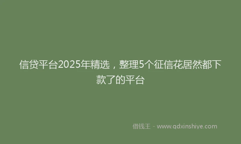 信贷平台2025年精选，整理5个征信花居然都下款了的平台