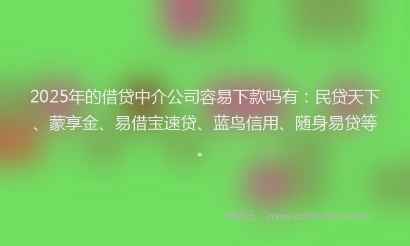 2025年的借贷中介公司容易下款吗有：民贷天下、蒙享金、易借宝速贷、蓝鸟信用、随身易贷等。