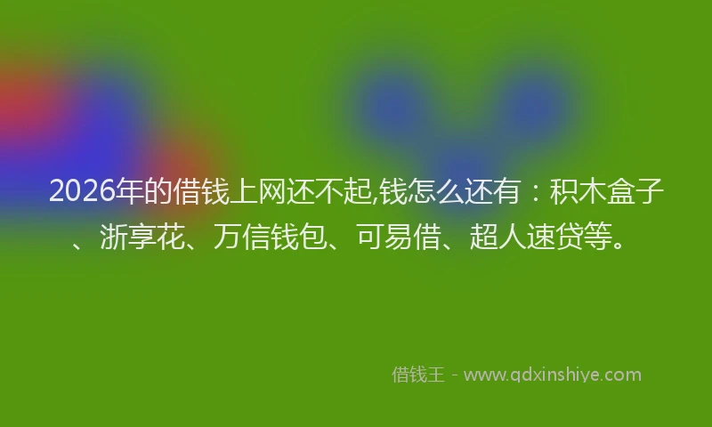 2026年的借钱上网还不起,钱怎么还有：积木盒子、浙享花、万信钱包、可易借、超人速贷等。
