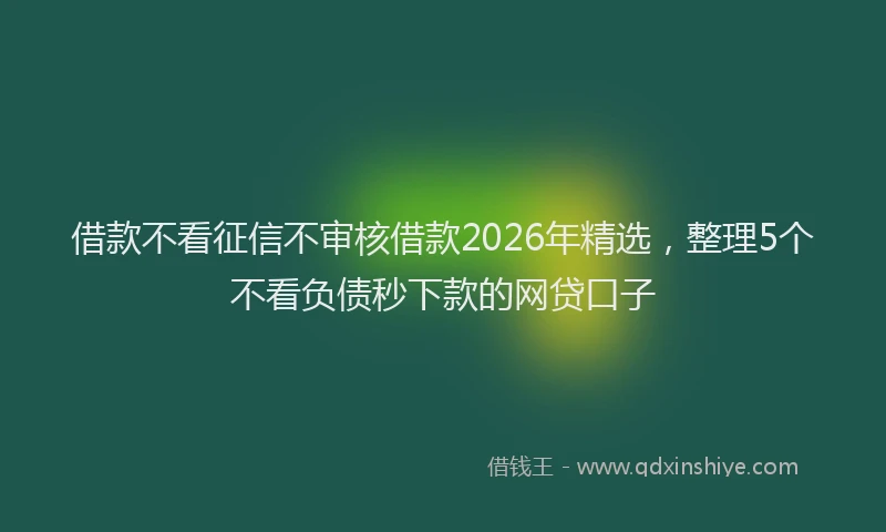 借款不看征信不审核借款2026年精选,整理5个不看负债秒下款的网贷口子