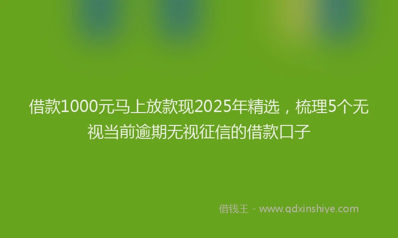 借款1000元马上放款现2025年精选，梳理5个无视当前逾期无视征信的借款口子