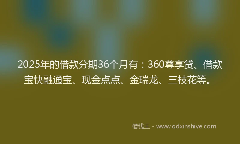 2025年的借款分期36个月有：360尊享贷、借款宝快融通宝、现金点点、金瑞龙、三枝花等。
