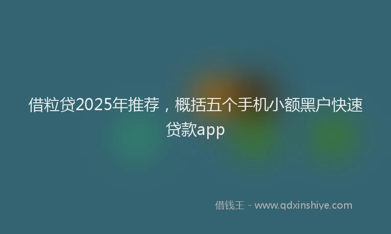 借粒贷2025年推荐，概括五个手机小额黑户快速贷款app