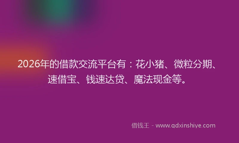 2026年的借款交流平台有：花小猪、微粒分期、速借宝、钱速达贷、魔法现金等。