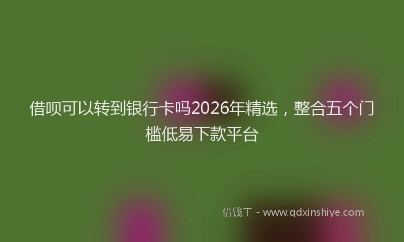 借呗可以转到银行卡吗2026年精选，整合五个门槛低易下款平台