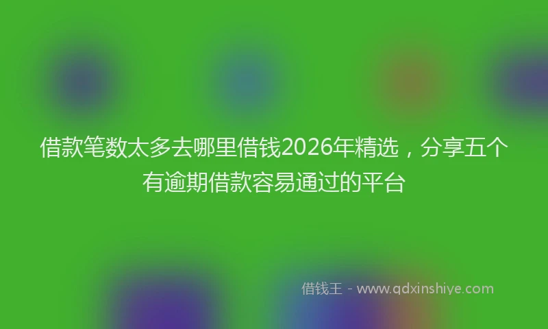 借款笔数太多去哪里借钱2026年精选，分享五个有逾期借款容易通过的平台