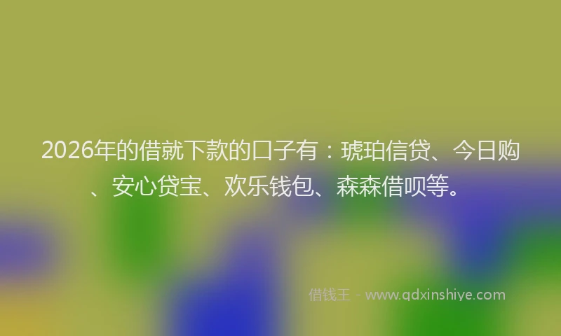 2026年的借就下款的口子有:琥珀信贷、今日购、安心贷宝、欢乐钱包、森森借呗等。