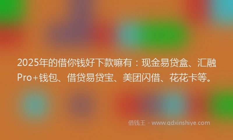 2025年的借你钱好下款嘛有：现金易贷盒、汇融Pro+钱包、借贷易贷宝、美团闪借、花花卡等。