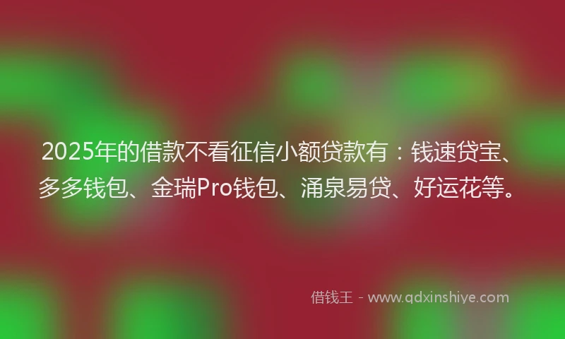 2025年的借款不看征信小额贷款有：钱速贷宝、多多钱包、金瑞Pro钱包、涌泉易贷、好运花等。