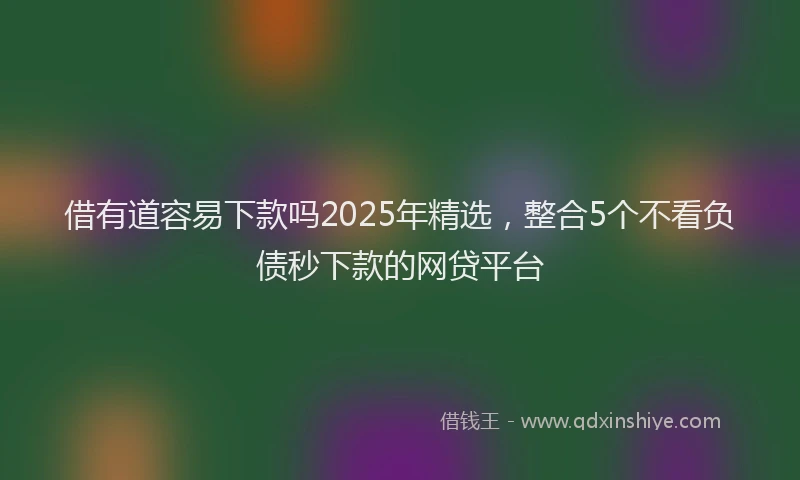 借有道容易下款吗2025年精选，整合5个不看负债秒下款的网贷平台
