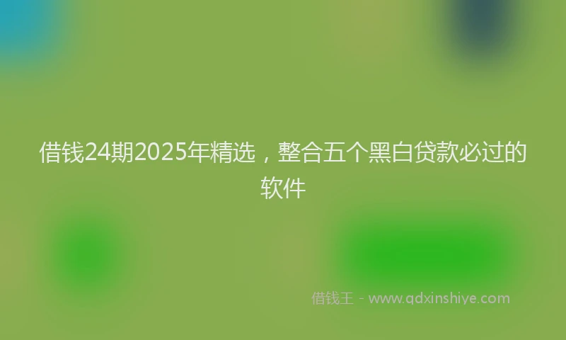 借钱24期2025年精选，整合五个黑白贷款必过的软件