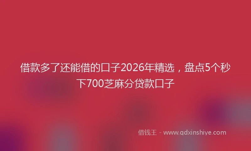 借款多了还能借的口子2026年精选，盘点5个秒下700芝麻分贷款口子