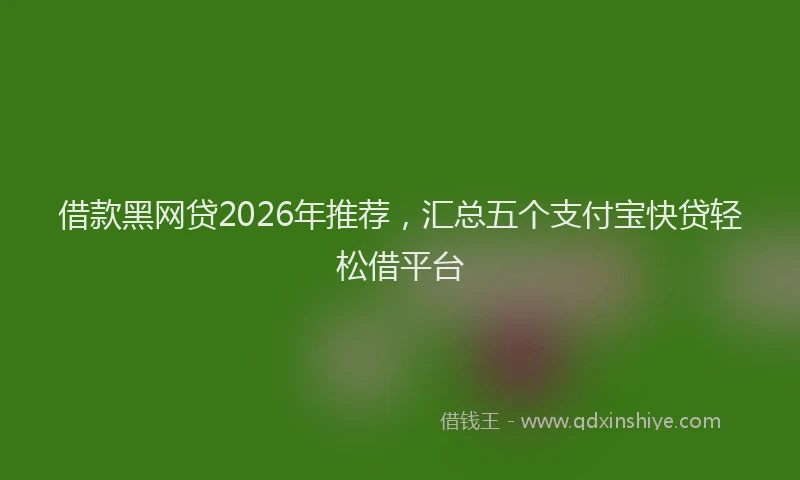 借款黑网贷2026年推荐，汇总五个支付宝快贷轻松借平台