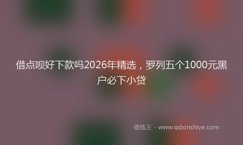 借点呗好下款吗2026年精选,罗列五个1000元黑户必下小贷