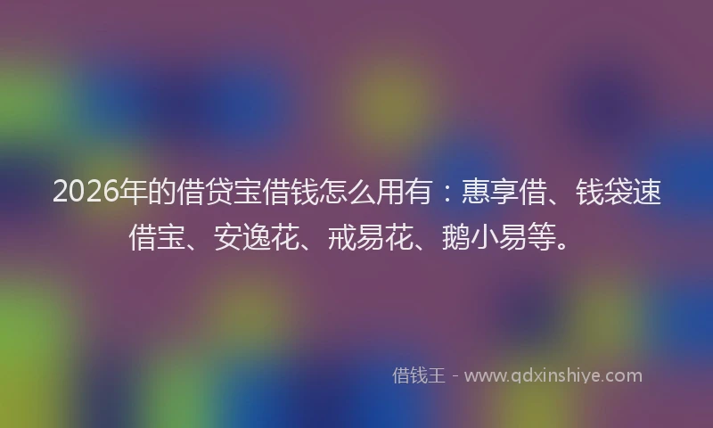 2026年的借贷宝借钱怎么用有：惠享借、钱袋速借宝、安逸花、戒易花、鹅小易等。
