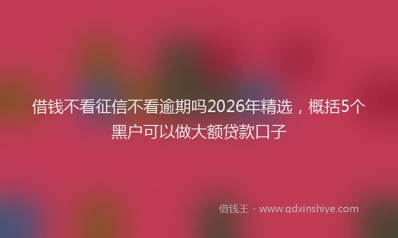 借钱不看征信不看逾期吗2026年精选，概括5个黑户可以做大额贷款口子