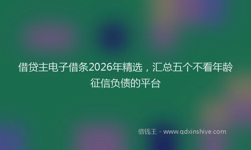 借贷主电子借条2026年精选，汇总五个不看年龄征信负债的平台