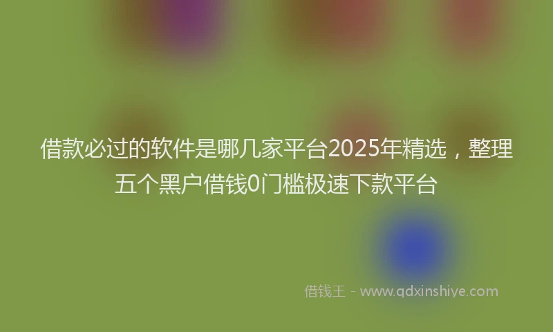 借款必过的软件是哪几家平台2025年精选，整理五个黑户借钱0门槛极速下款平台