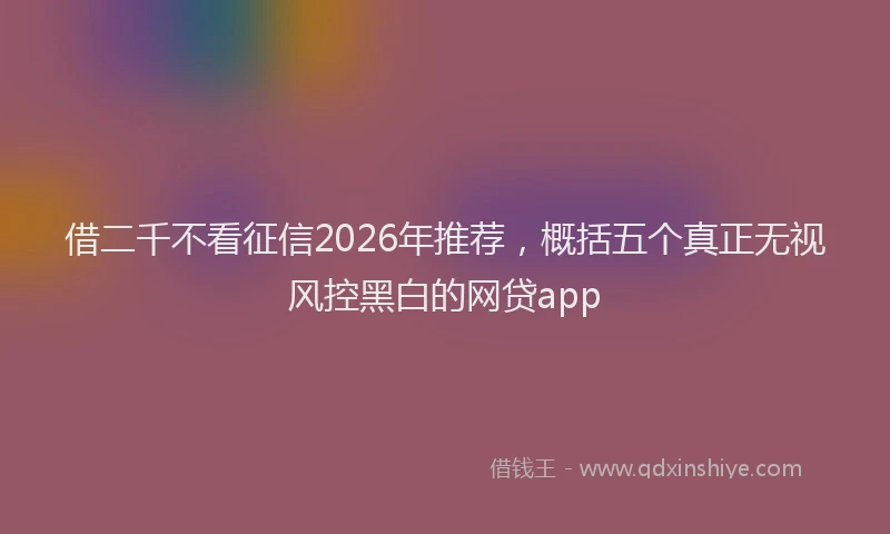 借二千不看征信2026年推荐,概括五个真正无视风控黑白的网贷app
