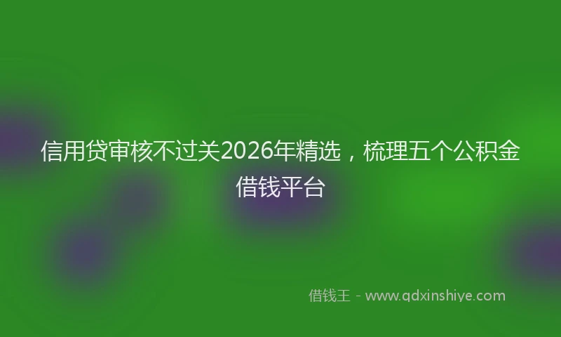 信用贷审核不过关2026年精选，梳理五个公积金借钱平台