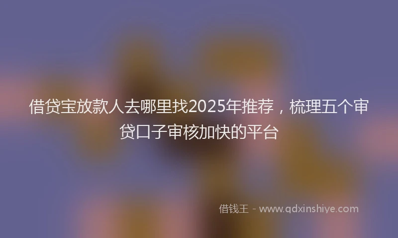 借贷宝放款人去哪里找2025年推荐,梳理五个审贷口子审核加快的平台