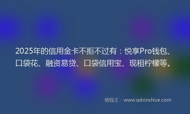 2025年的信用金卡不拒不过有：悦享Pro钱包、口袋花、融资易贷、口袋信用宝、现租柠檬等。