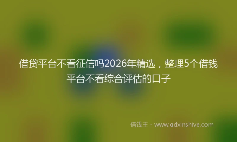 借贷平台不看征信吗2026年精选，整理5个借钱平台不看综合评估的口子