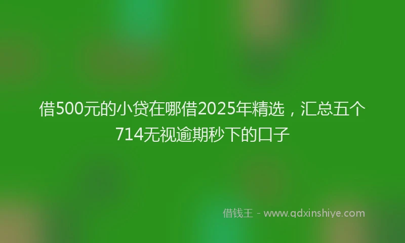 借500元的小贷在哪借2025年精选,汇总五个714无视逾期秒下的口子
