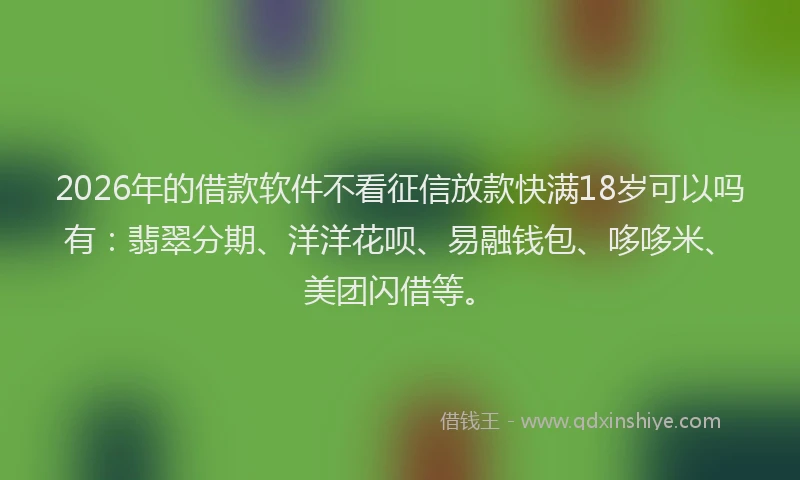 2026年的借款软件不看征信放款快满18岁可以吗有:翡翠分期、洋洋花呗、易融钱包、哆哆米、美团闪借等。