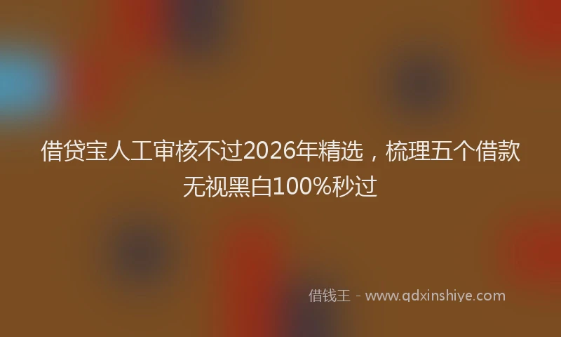 借贷宝人工审核不过2026年精选，梳理五个借款无视黑白100%秒过