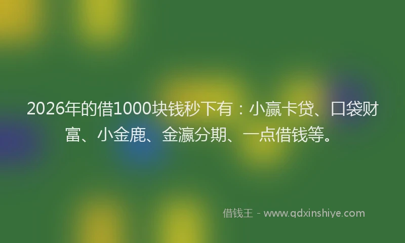 2026年的借1000块钱秒下有：小赢卡贷、口袋财富、小金鹿、金瀛分期、一点借钱等。