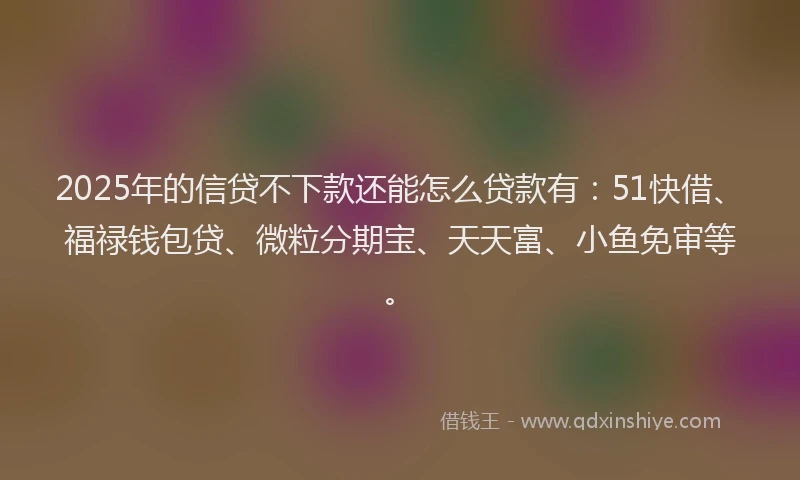 2025年的信贷不下款还能怎么贷款有：51快借、福禄钱包贷、微粒分期宝、天天富、小鱼免审等。