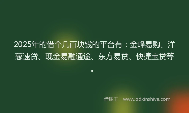 2025年的借个几百块钱的平台有:金峰易购、洋葱速贷、现金易融通途、东方易贷、快捷宝贷等。